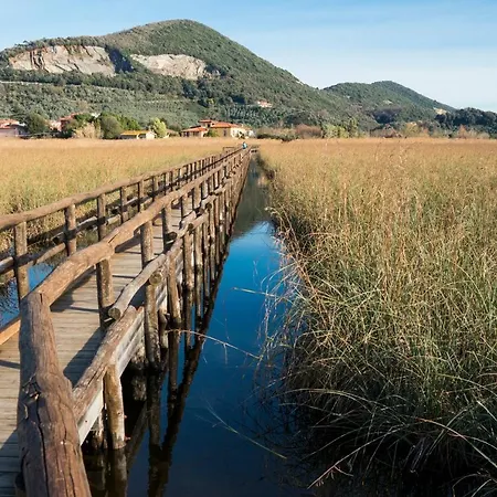 Mare Sorriso 350m From Sea - Happy Viareggio