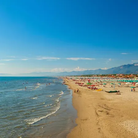 Mare Sorriso 350m From Sea - Happy Apartman Viareggio